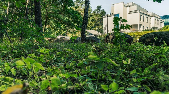 tu powstanie Park Bioróżnorodności