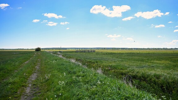 Tereny lęgowe ptak&oacute;w siewkowych na łąkach Polskiego Towarzystwa Ochrony Ptak&oacute;w