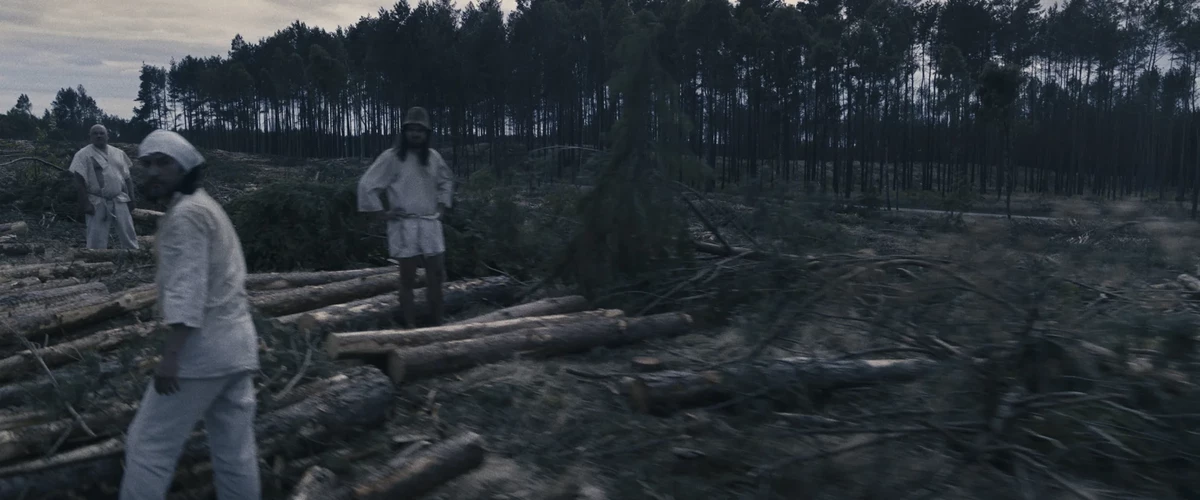 Agnieszka Polska, "Demon’s Brain", 2018, czterokanałowa instalacja wideo, 7′24″