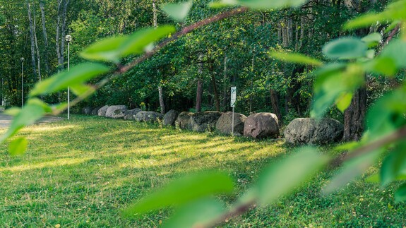 tu powstanie Park Bioróżnorodności