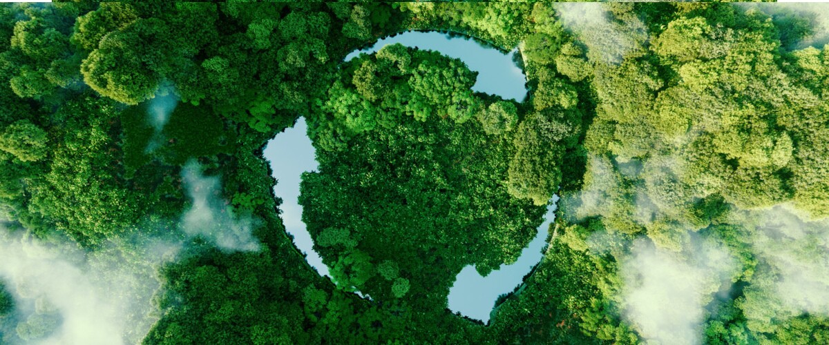 Innowacje w Inżynierii Ekologicznej