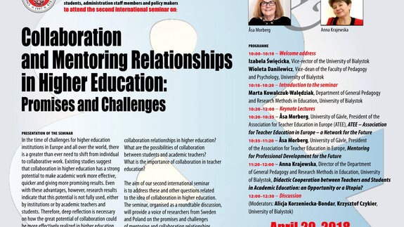 Collaboration and Mentoring Relationships in Higher Education: Promises and Challenges - Seminarium na WPiP
