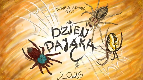 Save a Spider Day – zapraszamy do świętowania Dnia Pająka na Wydziale Biologii UwB
