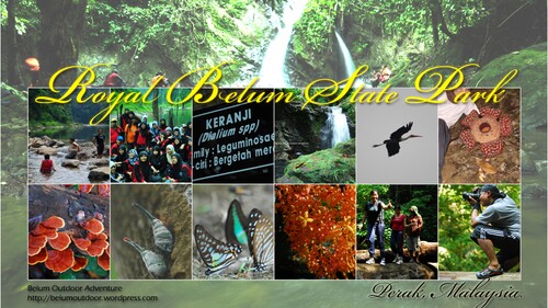 Wydział Biologii UwB zaprasza na seminarium naukowe "Royal Belum State Park in northern Peninsular Malaysia"