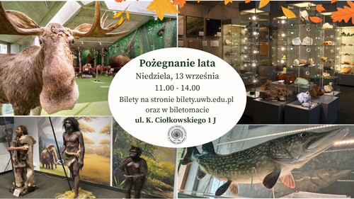 grafika